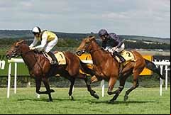 Strategic Prince & Duke Of Marmalade