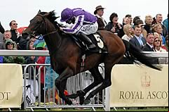 Fame And Glory 