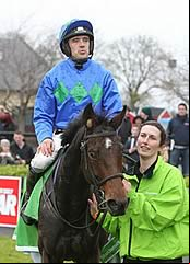 Hurricane Fly