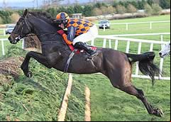 Last Time D'Albain