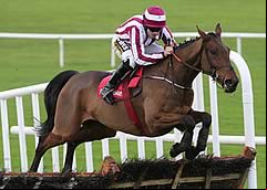 Noble Endeavour