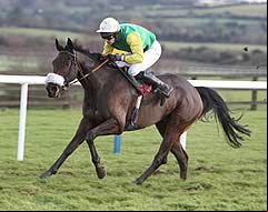 Ted Veale