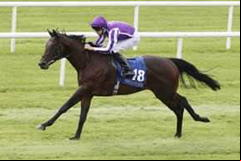 Ten Sovereigns