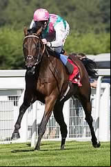 Kingman