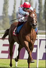 Red Cadeaux 