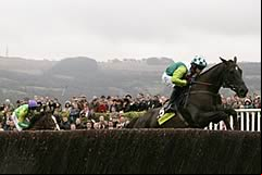 Denman