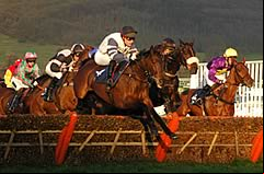 Gaspara