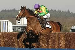 Kauto Star