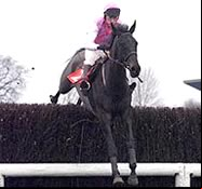 Marlborough