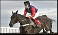 National Hunt Festival