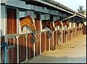 stables